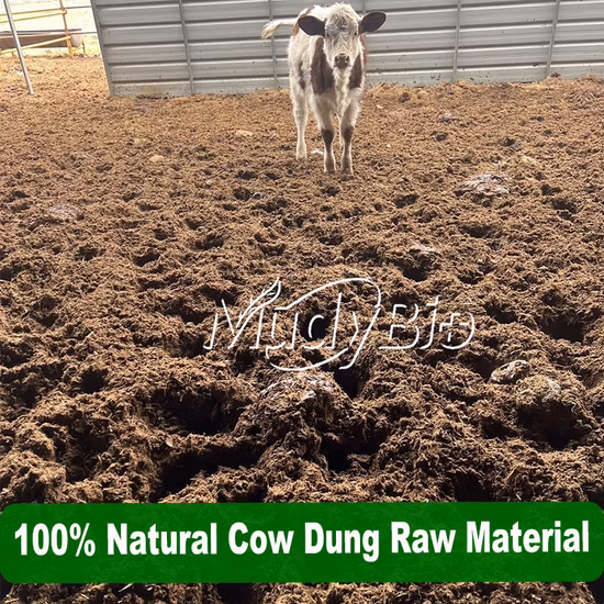 Macchina per granulatore di fertilizzanti per presse a rulli per piante di fertilizzanti NPK/Biologico/Personalizzato/Soluzione unica/Concime animale Pollame/Fertilizzante per urea/Prezzo della pressa per suini/mucche/pellet