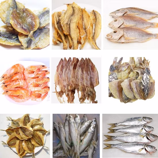 Kinkai Asciugatrice termica Disidratatore per asciugatrice per zenzero